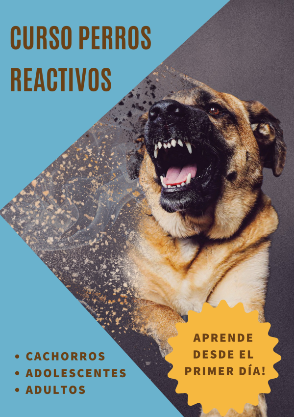 Perros Reactivos