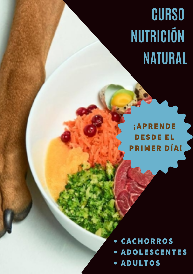 Nutrición natural para tu perro (Iniciación)